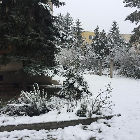 Next To University Debrecen Bagian luar foto