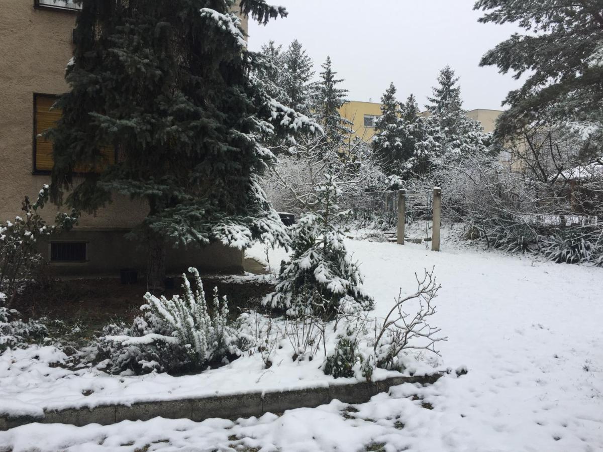 Next To University Debrecen Bagian luar foto