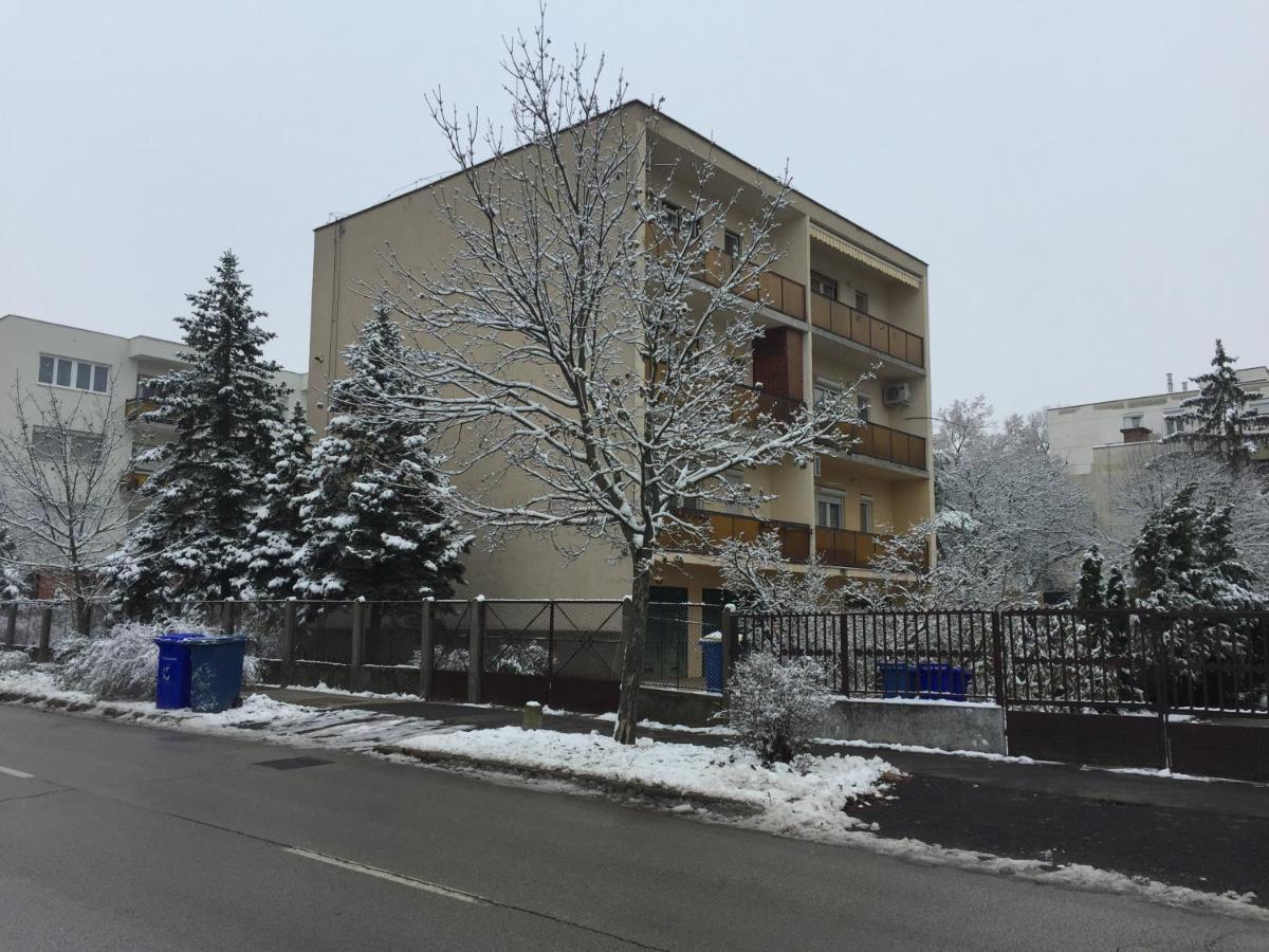 Next To University Debrecen Bagian luar foto